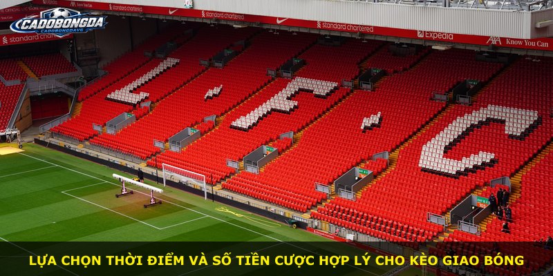 Lựa chọn thời điểm và số tiền cược hợp lý cho kèo giao bóng