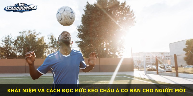 Khái niệm và cách đọc mức kèo Châu Á cơ bản cho người mới