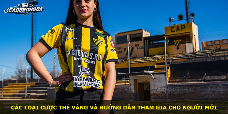 Các loại cược thẻ vàng và hướng dẫn tham gia cho người mới